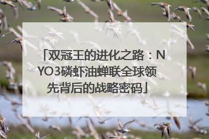 双冠王的进化之路：NYO3磷虾油蝉联全球领先背后的战略密码