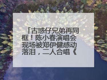 古惑仔兄弟再同框！陈小春演唱会现场被郑伊健感动落泪，二人合唱《一起冲一起闯》再现青春回忆