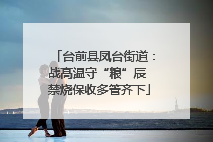 台前县凤台街道：战高温守“粮”辰 禁烧保收多管齐下