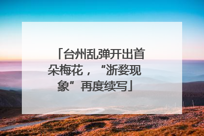 台州乱弹开出首朵梅花，“浙婺现象”再度续写