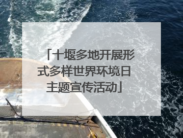 十堰多地开展形式多样世界环境日主题宣传活动