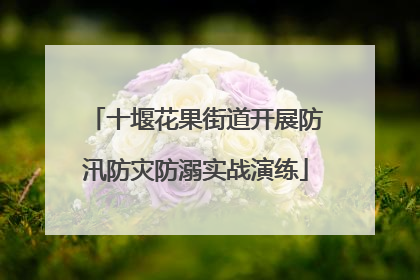 十堰花果街道开展防汛防灾防溺实战演练