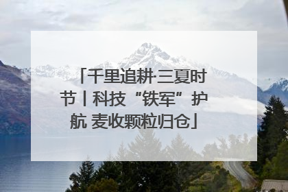 千里追耕·三夏时节丨科技“铁军”护航 麦收颗粒归仓