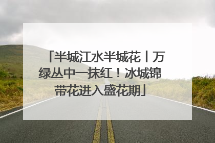 半城江水半城花丨万绿丛中一抹红！冰城锦带花进入盛花期