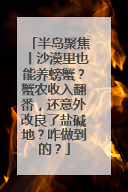 半岛聚焦丨沙漠里也能养螃蟹？蟹农收入翻番，还意外改良了盐碱地？咋做到的？