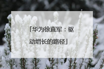 华为徐直军：驱动增长的路径