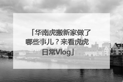华南虎搬新家做了哪些事儿？来看虎虎日常Vlog
