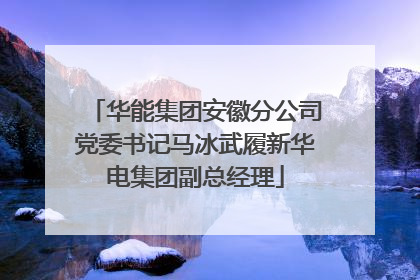 华能集团安徽分公司党委书记马冰武履新华电集团副总经理