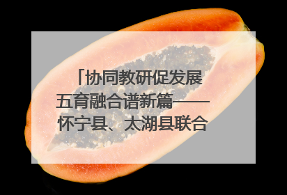 协同教研促发展 五育融合谱新篇——怀宁县、太湖县联合教研活动在月山镇中心学校成功举办