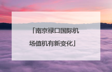 南京禄口国际机场值机有新变化