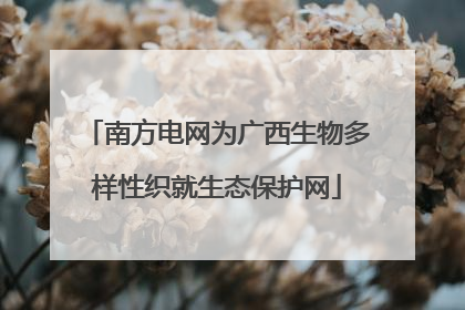 南方电网为广西生物多样性织就生态保护网