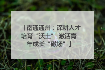南通通州：深耕人才培育“沃土” 激活青年成长“磁场”