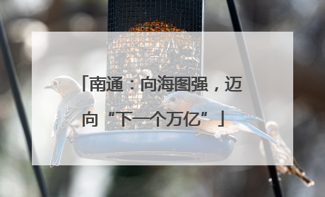 南通：向海图强，迈向“下一个万亿”