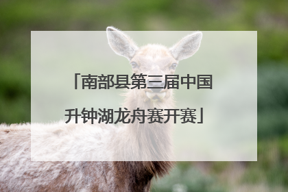 南部县第三届中国升钟湖龙舟赛开赛