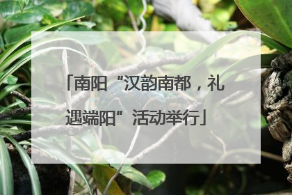 南阳“汉韵南都，礼遇端阳”活动举行