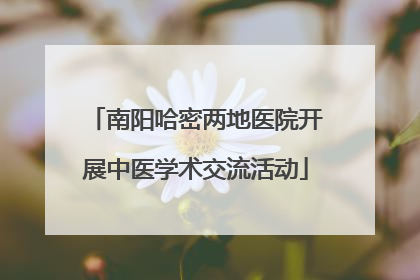 南阳哈密两地医院开展中医学术交流活动