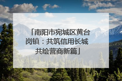 南阳市宛城区黄台岗镇：共筑信用长城 共绘营商新篇