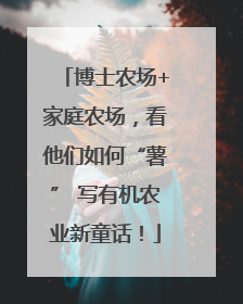 博士农场+家庭农场，看他们如何“薯” 写有机农业新童话！