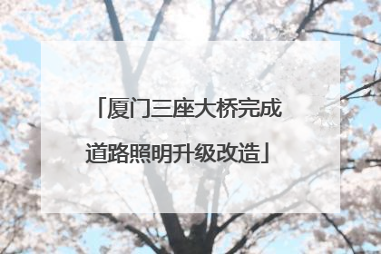 厦门三座大桥完成道路照明升级改造