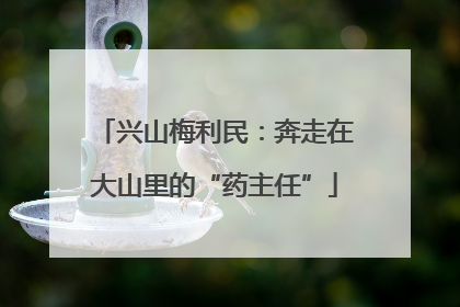 兴山梅利民：奔走在大山里的“药主任”