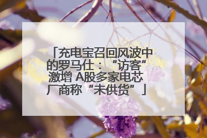 充电宝召回风波中的罗马仕：“访客”激增 A股多家电芯厂商称“未供货”