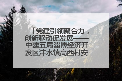 党建引领聚合力，创新驱动促发展——中建五局淄博经济开发区沣水镇高西村安置项目建设纪实