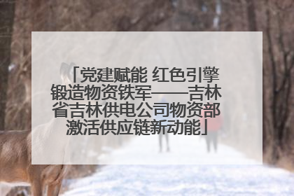 党建赋能 红色引擎锻造物资铁军——吉林省吉林供电公司物资部激活供应链新动能