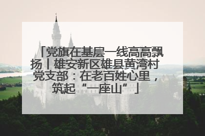 党旗在基层一线高高飘扬丨雄安新区雄县黄湾村党支部：在老百姓心里，筑起“一座山”