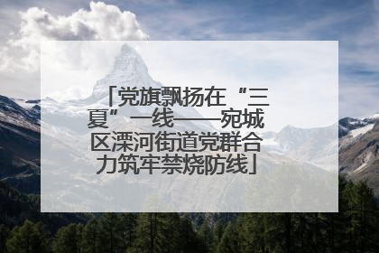 党旗飘扬在“三夏”一线——宛城区溧河街道党群合力筑牢禁烧防线