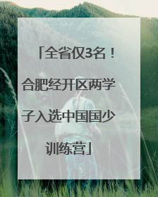 全省仅3名！合肥经开区两学子入选中国国少训练营