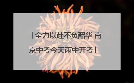 全力以赴不负韶华 南京中考今天雨中开考