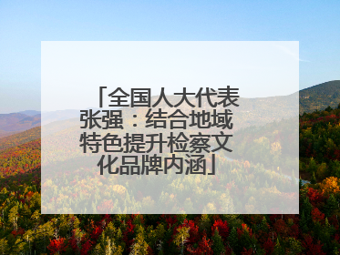 全国人大代表张强：结合地域特色提升检察文化品牌内涵