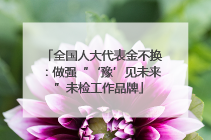 全国人大代表金不换：做强“‘豫’见未来”未检工作品牌