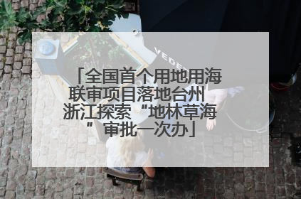 全国首个用地用海联审项目落地台州 浙江探索“地林草海”审批一次办