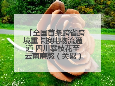 全国首条跨省跨境重卡换电物流通道 四川攀枝花至云南磨憨（关累）换电干线启动
