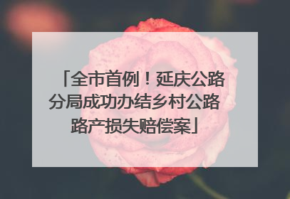 全市首例！延庆公路分局成功办结乡村公路路产损失赔偿案