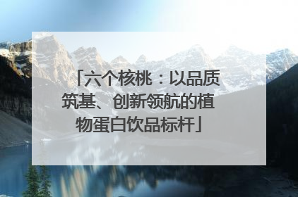 六个核桃:以品质筑基、创新领航的植物蛋白饮品标杆
