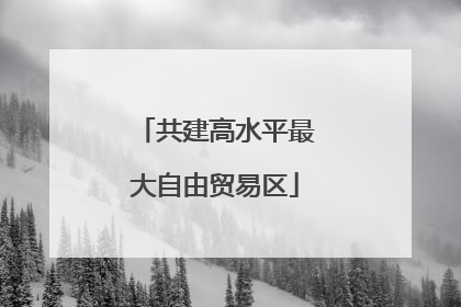 共建高水平最大自由贸易区