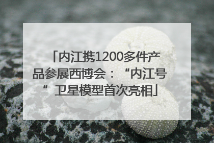 内江携1200多件产品参展西博会：“内江号”卫星模型首次亮相