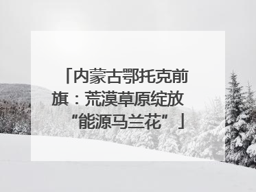 内蒙古鄂托克前旗：荒漠草原绽放“能源马兰花”