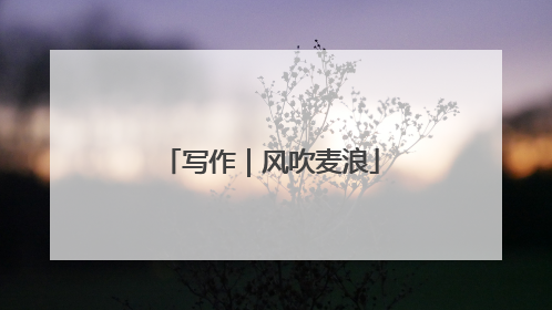 写作｜风吹麦浪