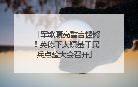 军歌嘹亮誓言铿锵！英德下太镇基干民兵点验大会召开