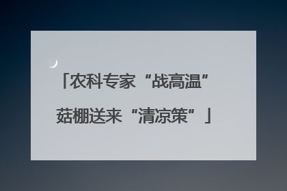 农科专家“战高温” 菇棚送来“清凉策”
