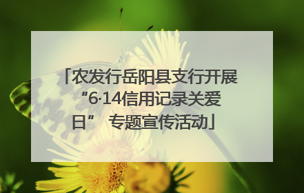 农发行岳阳县支行开展“6·14信用记录关爱日” 专题宣传活动
