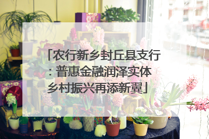 农行新乡封丘县支行：普惠金融润泽实体 乡村振兴再添新翼
