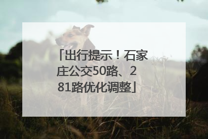 出行提示！石家庄公交50路、281路优化调整