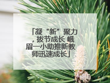 凝“新”聚力，拔节成长 峨眉一小助推新教师迅速成长