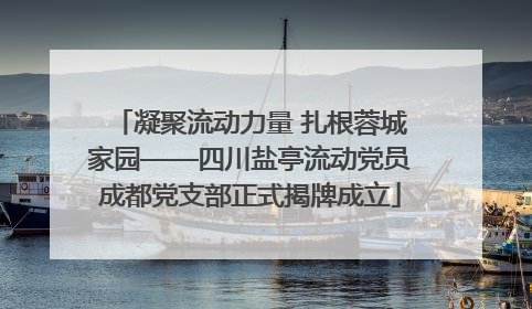 凝聚流动力量 扎根蓉城家园——四川盐亭流动党员成都党支部正式揭牌成立