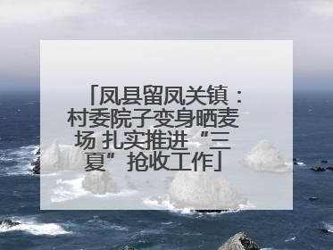 凤县留凤关镇：村委院子变身晒麦场 扎实推进“三夏”抢收工作