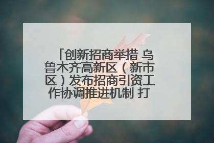 创新招商举措 乌鲁木齐高新区（新市区）发布招商引资工作协调推进机制 打造投资发展新高地